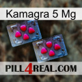 Kamagra 5 Mg 14